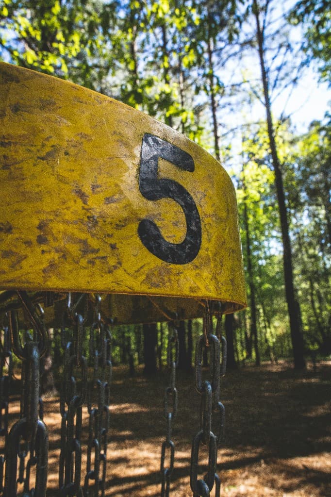 Disc golf basket in a sunny forest